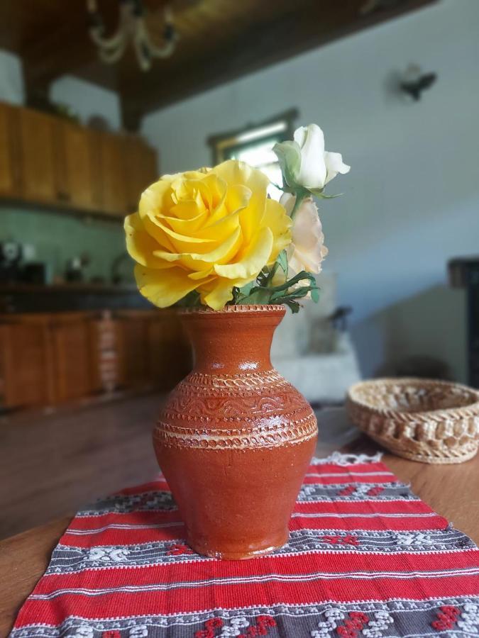 Sebesu de Jos Casuta Din Rusca 빌라 외부 사진