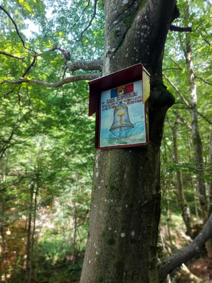 Sebesu de Jos Casuta Din Rusca 빌라 외부 사진