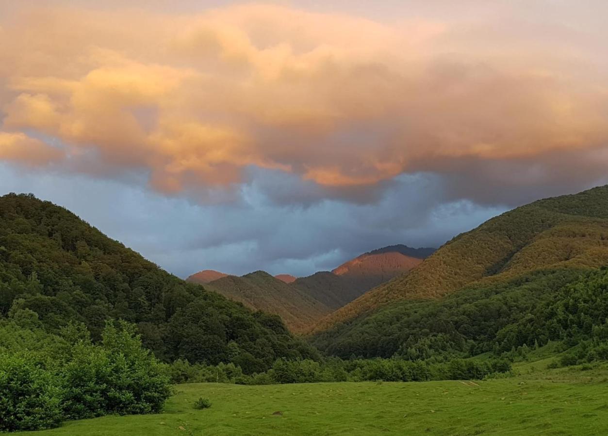 Sebesu de Jos Casuta Din Rusca 빌라 외부 사진