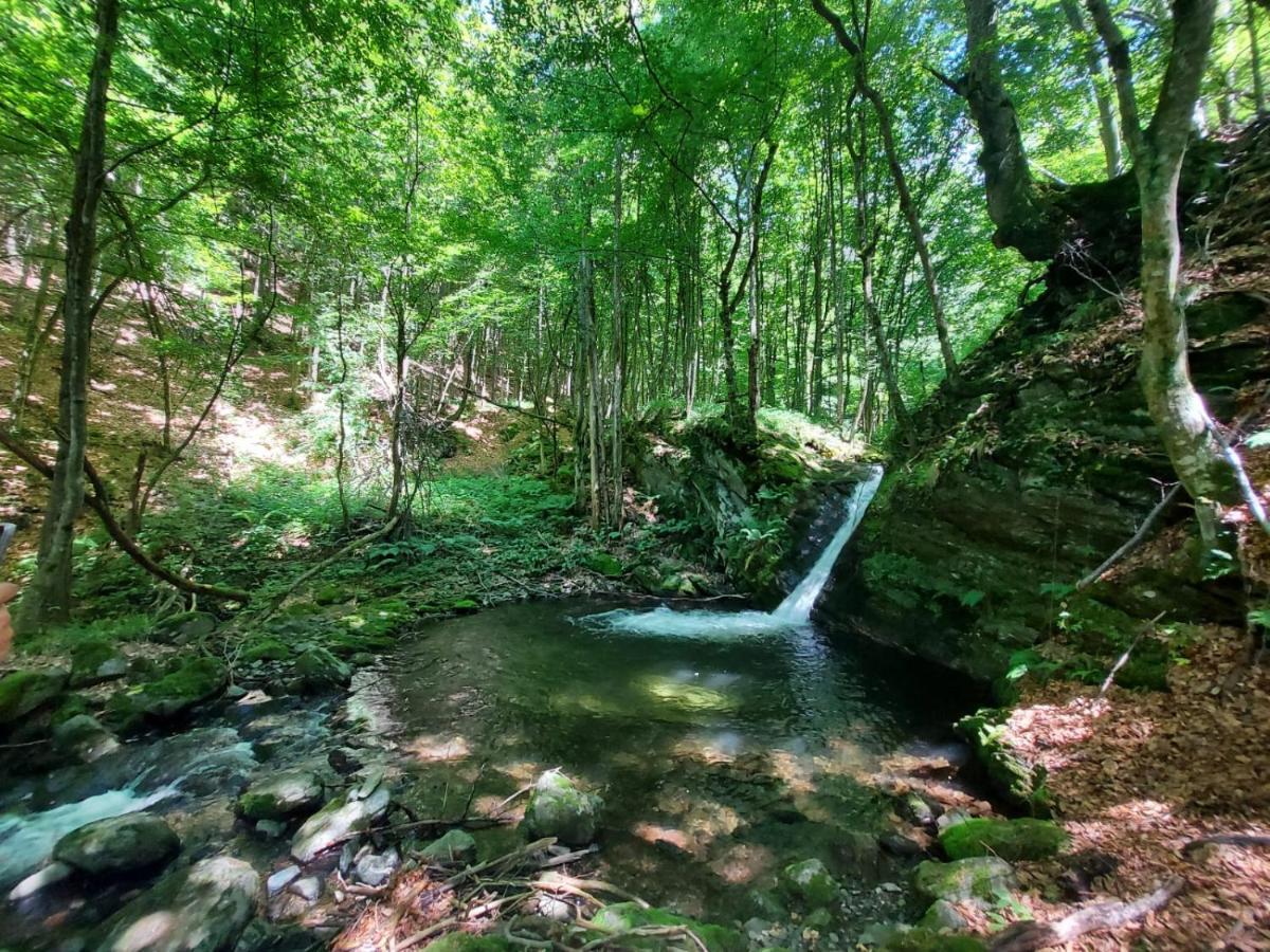 Sebesu de Jos Casuta Din Rusca 빌라 외부 사진